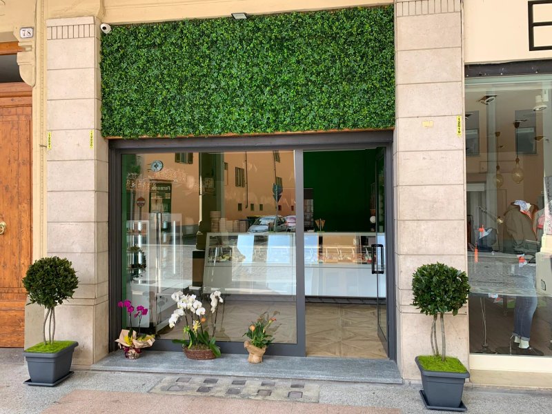 Momo Il Gelato