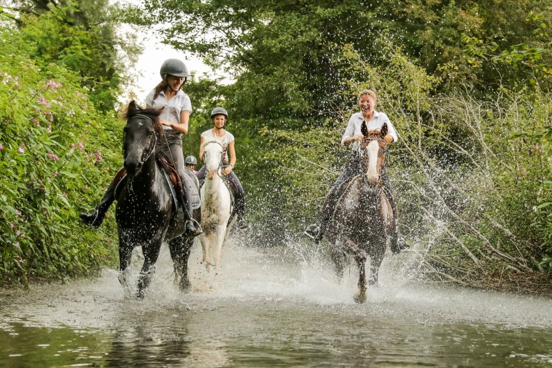 Ecole d'Equitation Equizones