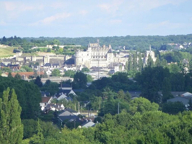 House with inner courtyard, 2 to 4 beds, 2 steps from the castle of Amboise.