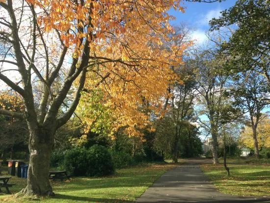 Leazes Park