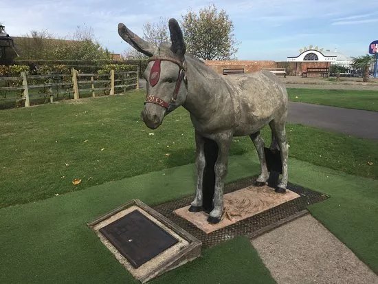 Dudley the Donkey