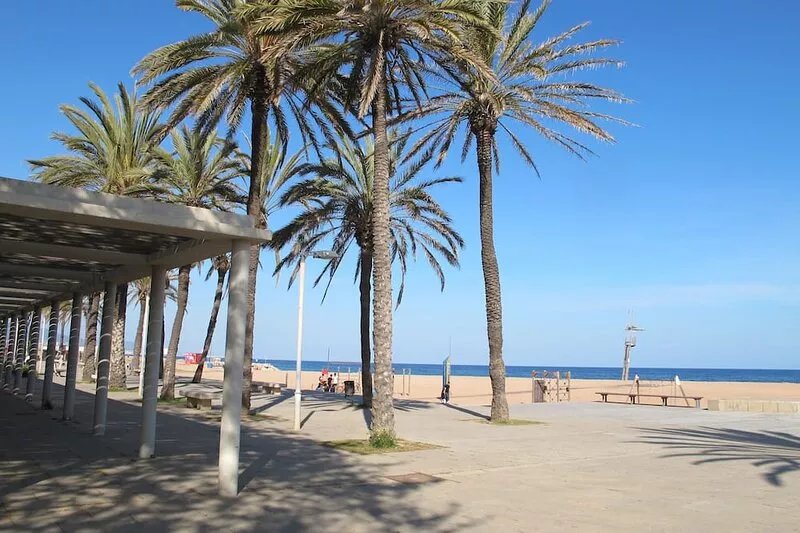 B: COZY APT. NEXT TO BEACH AND 14 MIN. TO CATALONIA SQUARE