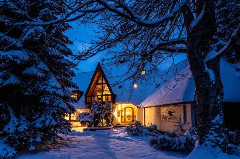 Amselhof Apart-Hotel