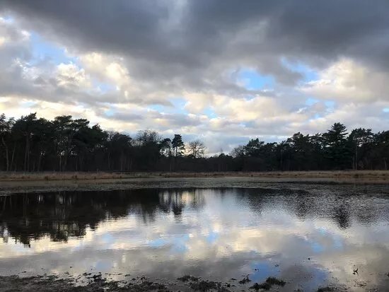 Wandelpark