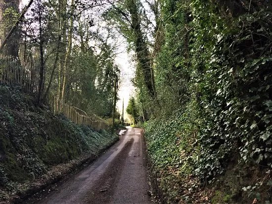 High Weald Landscape Trail