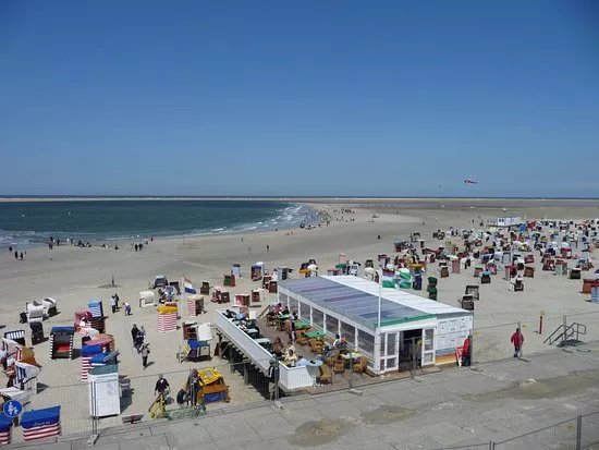Seehundbank auf Borkum