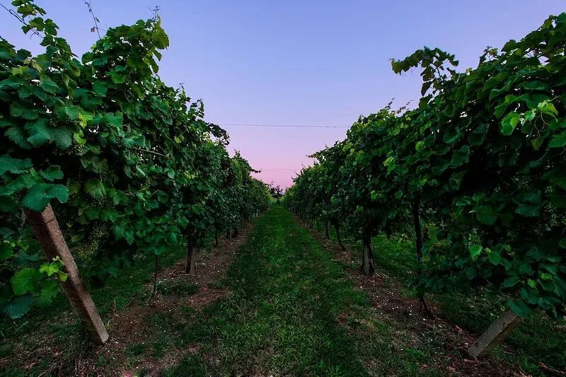 Exclusive rustic - Park of Sile - close to Treviso and Venice