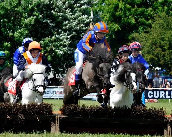 The Suffolk Show