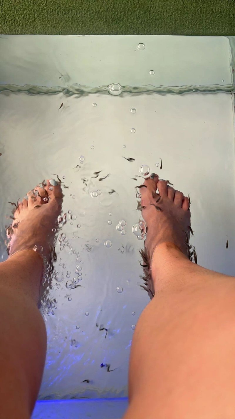 Doctor FISH SPA