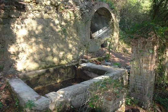 Il Cinitoio