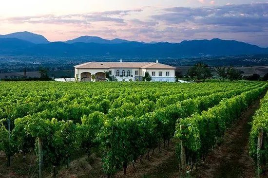 Tenuta Lungarotti