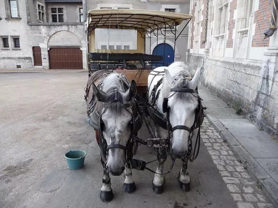 Les Chevaux de Marolles (Normandie)