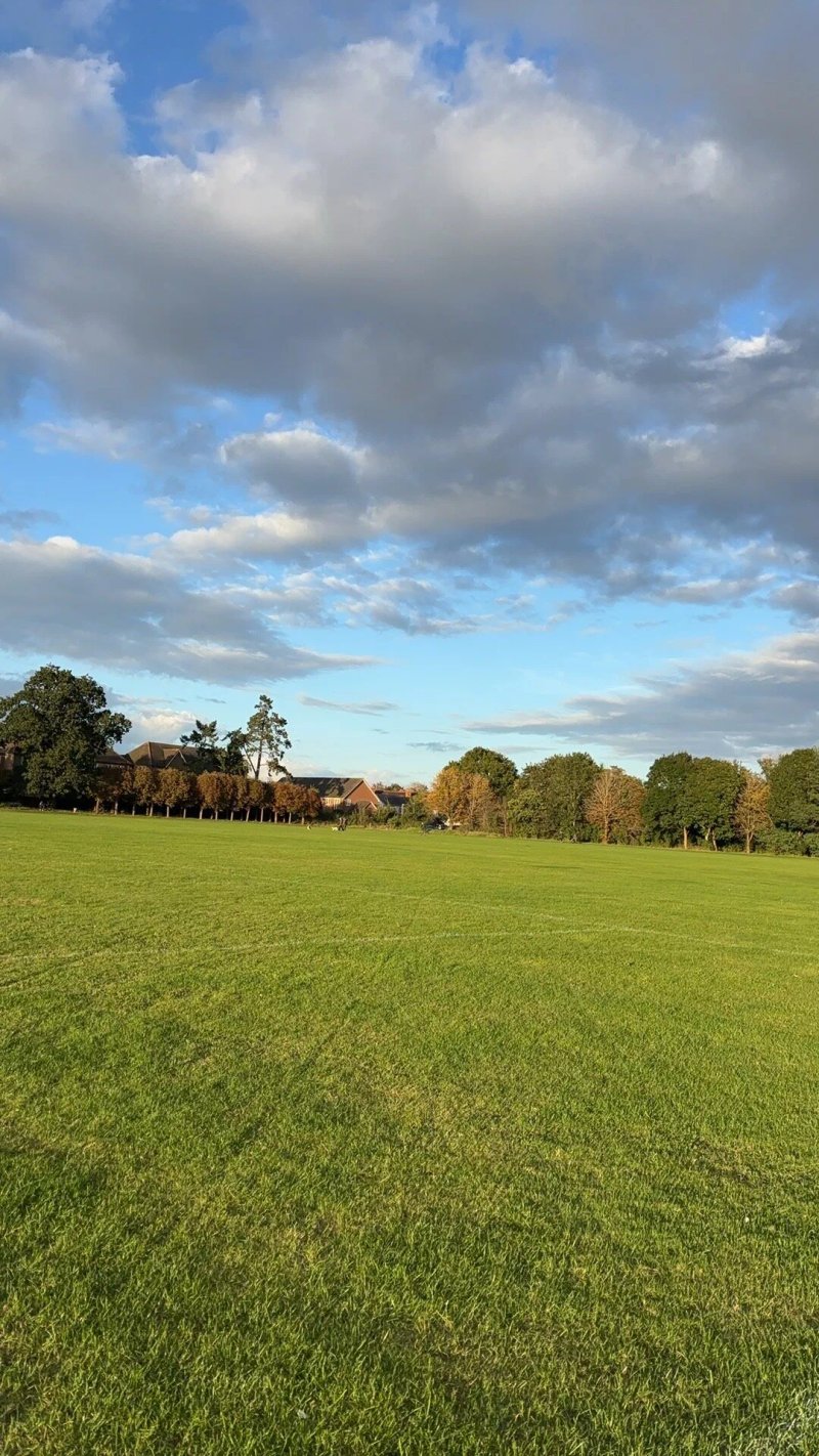 Cintra Park