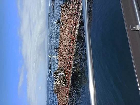 Naviera Bahia Sub