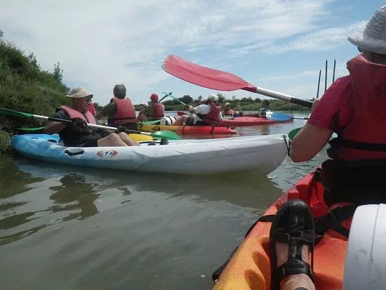 Seudrement Kayak Day Tours