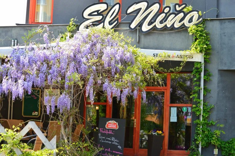 Restaurant El Nino