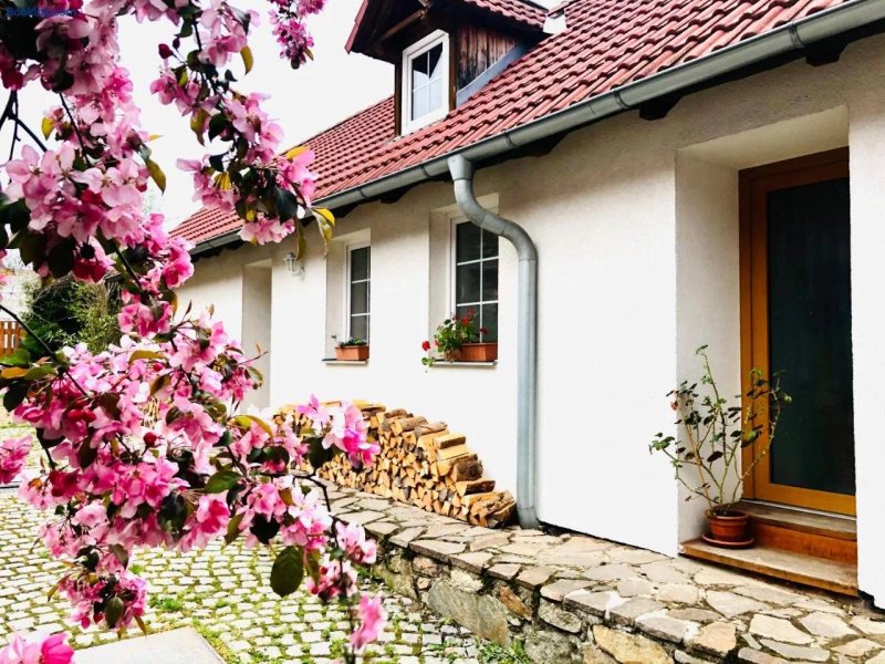 Apartmany Jilovice