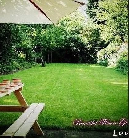 Lee's House