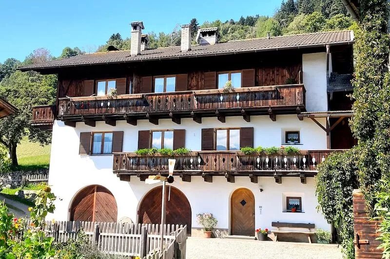 Stieberhof Feldthurns - Holiday apartment with mountain view - Alpaca hike