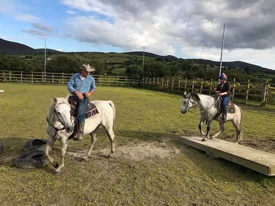 Laneway Lodge - Private Day Horse Rides