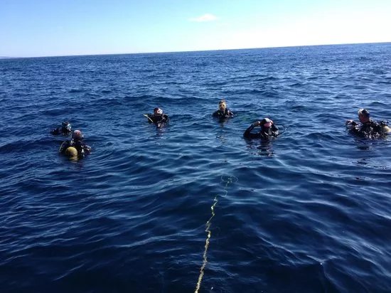 Octopus Scuba School