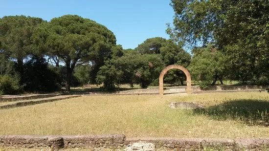 Parco Urbano Pineta di Castel Fusano