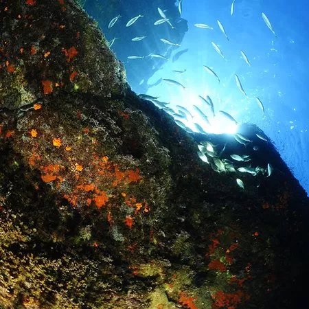Trigone Diving School
