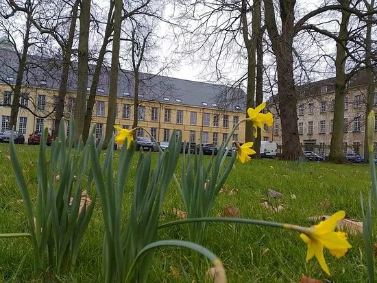 Old Abbey of Drongen