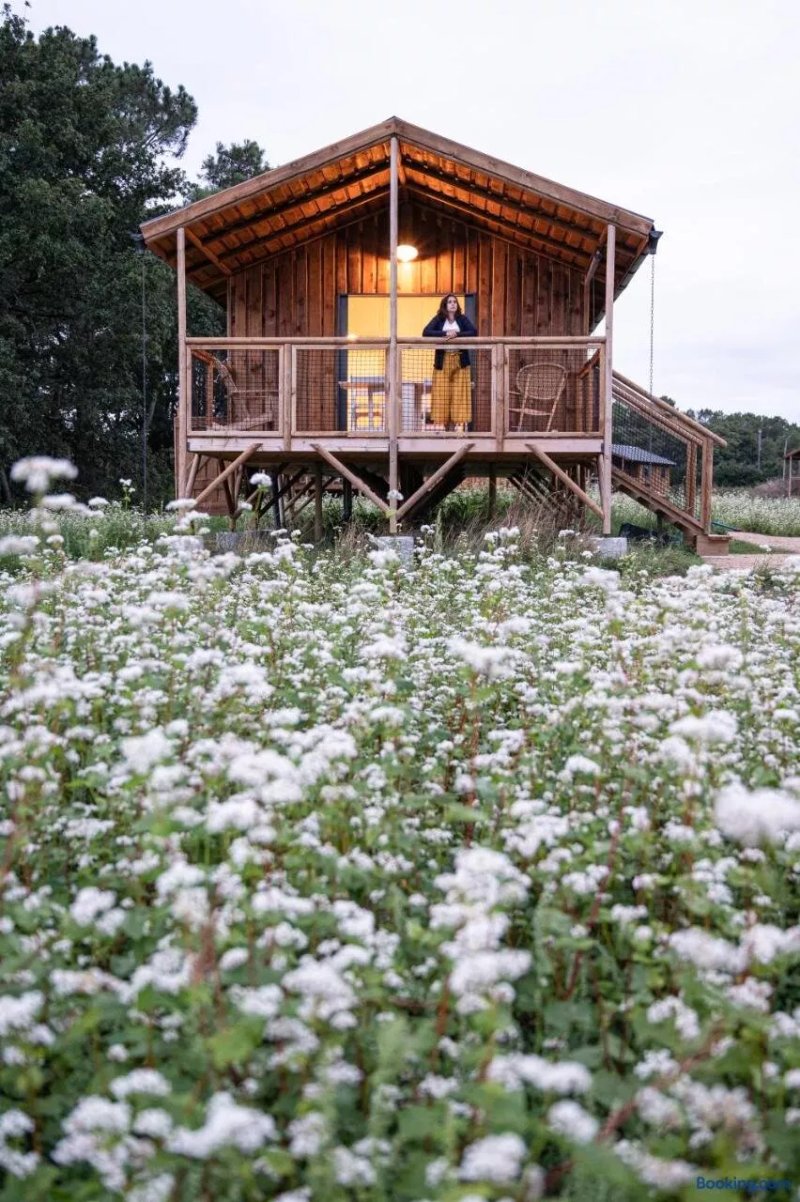 Chambre d'Hote et Hebergements Insolites
