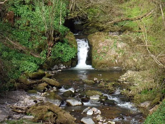 Dollar Glen