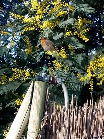 Jardin Animalier de Mialet