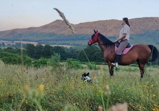 The Fairy Ranch
