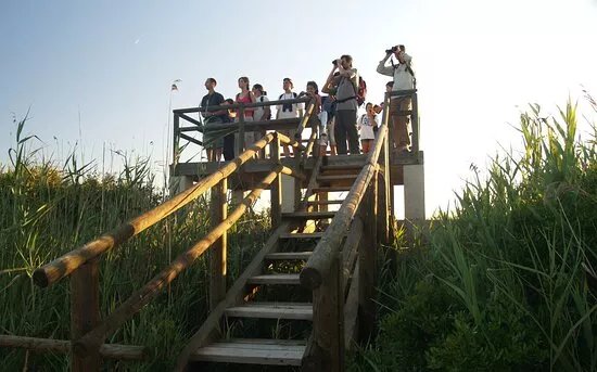 Mallorca Nature Tours