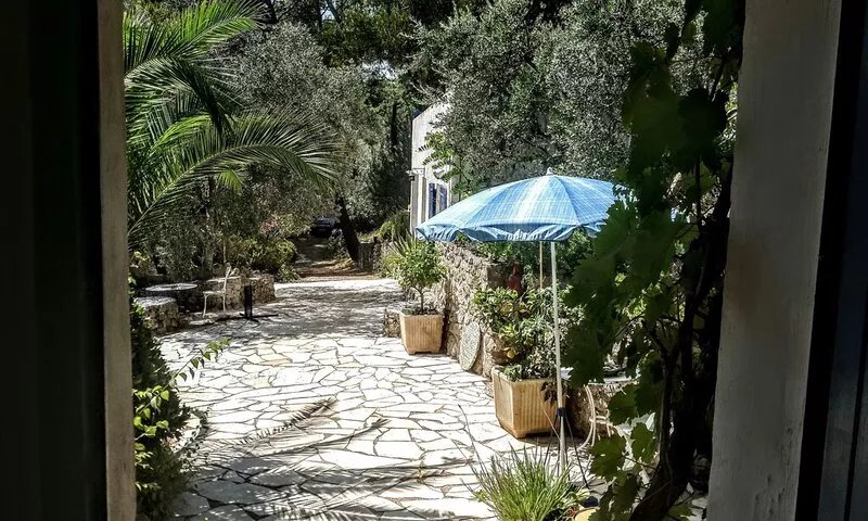 Garden level in an artist's house