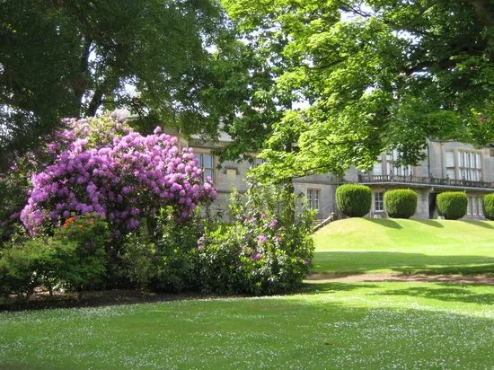 Afternoon Tea Tours