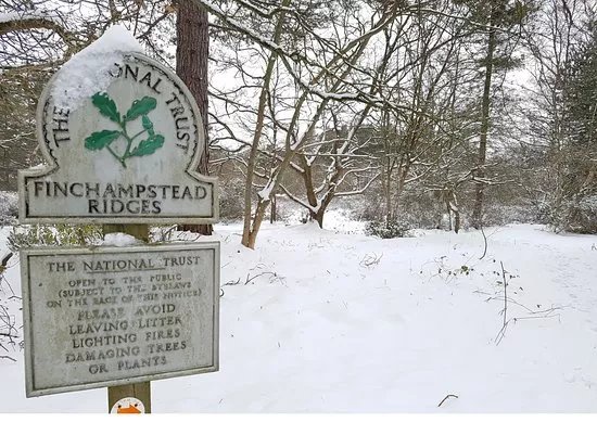 Finchampstead Ridges