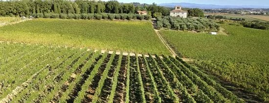 Societa Agricola Il Sosso