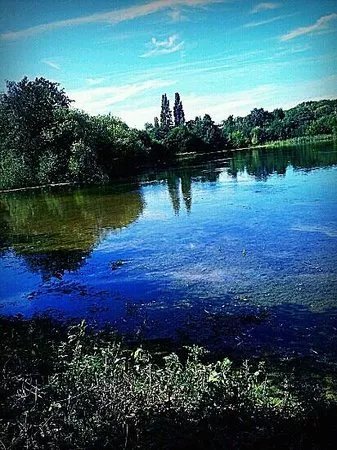 Sevenoaks Wildlife Reserve