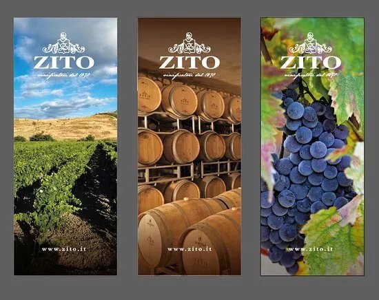 Zito
