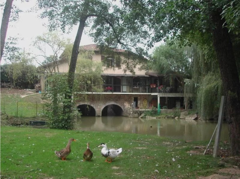 Auberge du Vieux moulin