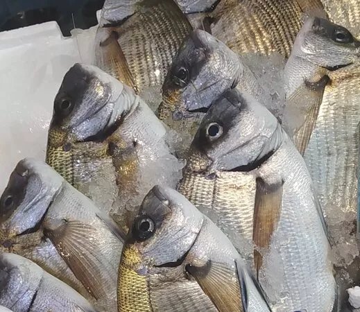Mercato Del Pesce - Mogliano Veneto