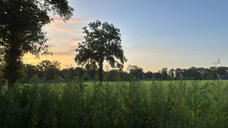 Vakantiepark Buitenplaats Holten