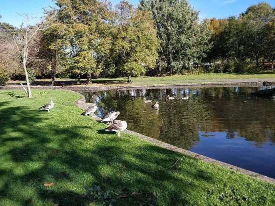 Ward Park