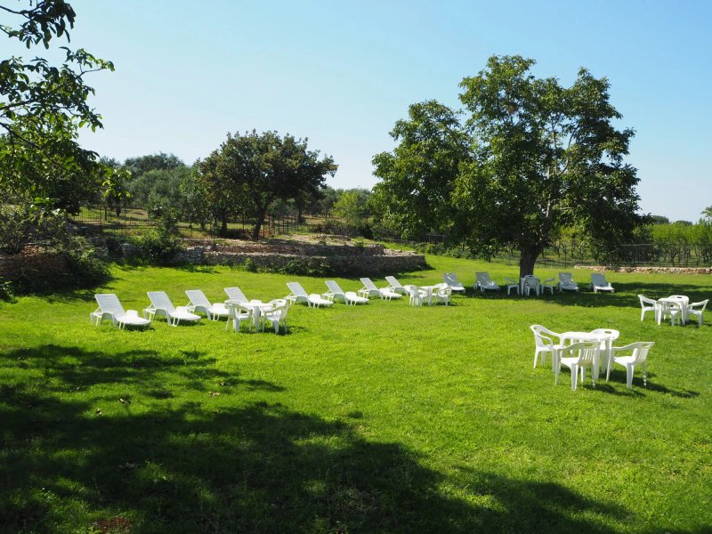 Casina Murgecchia