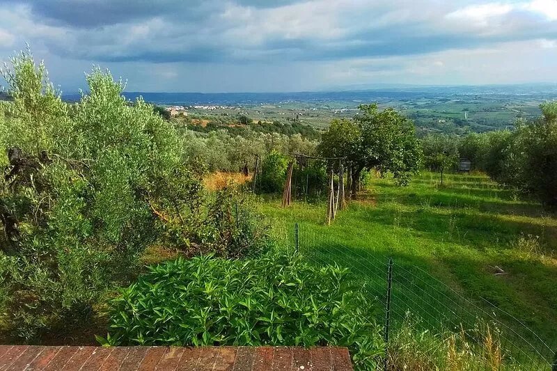 Poderino La Noce - Room with Private Bathroom and Patio, Wi-Fi, View and Garden