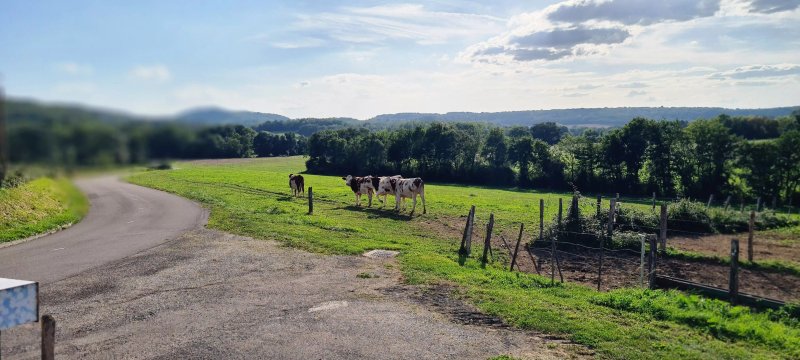 Domaine Pecheur Cotes du Jura