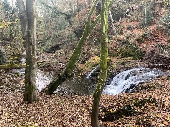 Arbirlot Waterfalls