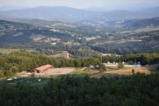 Area Tarolli