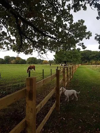 Wythenshawe Community Farm