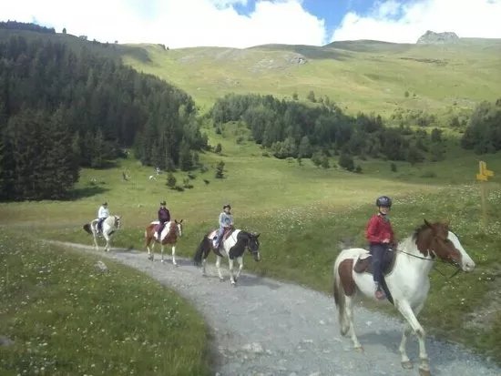 Seez'a cheval, les balades du Mont